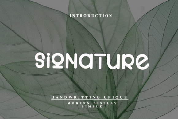 Signature: A Modern Display Font for Distinctive Branding